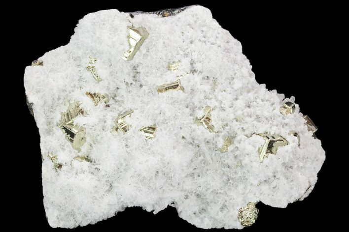 Gleaming Pyrite and Quartz Crystal Association - Peru #126589